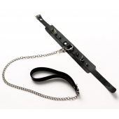 Черный ошейник с шипами и поводком - Crazy Handmade - купить с доставкой в Арзамасе