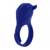 Синее эрекционное виброкольцо с клиторальной подушечкой и пультом ДУ Adjustable Fun Ring - Zero Tolerance - в Арзамасе купить с доставкой