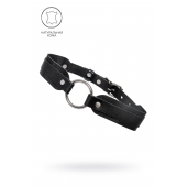 Черный кожаный чокер-ошейник со скруглёнными углами - Pecado - купить с доставкой в Арзамасе