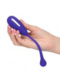 Фиолетовый шарик с электростимуляцией и вибрацией Intimate E-Stimulator Remote Kegel Exerciser - California Exotic Novelties - купить с доставкой в Арзамасе