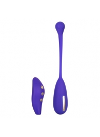 Фиолетовый шарик с электростимуляцией и вибрацией Intimate E-Stimulator Remote Kegel Exerciser - California Exotic Novelties - купить с доставкой в Арзамасе