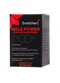 Капсулы для мужчин Erotichard male power с пантогематогеном - 20 капсул (0,370 гр.) - Erotic Hard - купить с доставкой в Арзамасе