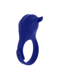 Синее эрекционное виброкольцо с клиторальной подушечкой и пультом ДУ Adjustable Fun Ring - Zero Tolerance - в Арзамасе купить с доставкой