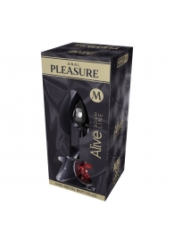 Серебристая анальная втулка Mini Metal Butt Plug Size M с красным кристаллом - Adrien Lastic в Арзамасе Серебристая анальная втулка Mini Metal Butt Plug Size M с красным кристаллом - Adrien Lastic