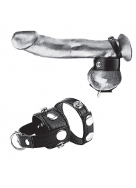 Утяжка для мошонки и пениса Cock Ring With 1  Ball Stretcher And Optional Weight Ring - BlueLine - купить с доставкой в Арзамасе