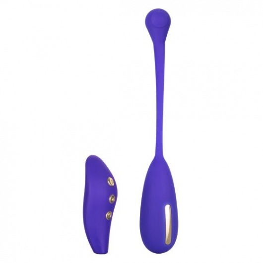 Фиолетовый шарик с электростимуляцией и вибрацией Intimate E-Stimulator Remote Kegel Exerciser - California Exotic Novelties - купить с доставкой в Арзамасе