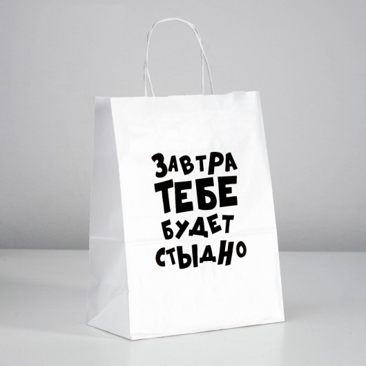 Подарочный пакет  Завтра тебе будет стыдно  - 30 х 24 см. - UPAK LAND - купить с доставкой в Арзамасе
