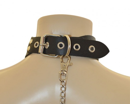 Ошейник  Веселый Роджер - Sitabella - купить с доставкой в Арзамасе