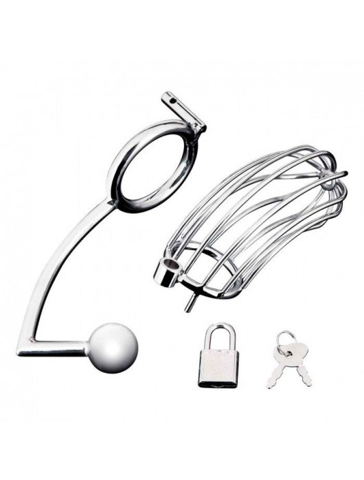 Серебристая металлическая клетка с анальным стимулятором Cock Cage - BlueLine - купить с доставкой в Арзамасе