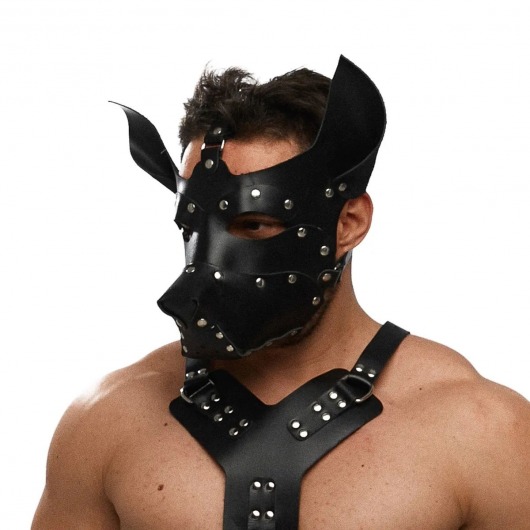 Черная кожаная маска «Собака» - Crazy Handmade - купить с доставкой в Арзамасе