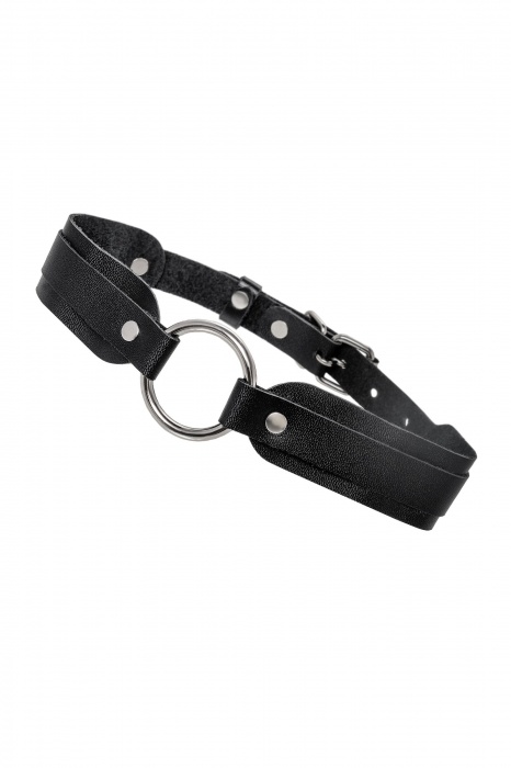 Черный кожаный чокер-ошейник со скруглёнными углами - Pecado - купить с доставкой в Арзамасе