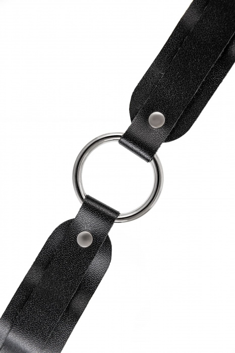 Черный кожаный чокер-ошейник со скруглёнными углами - Pecado - купить с доставкой в Арзамасе