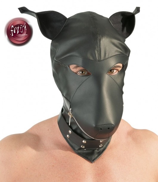 Шлем-маска Dog Mask в виде морды собаки - Orion - купить с доставкой в Арзамасе