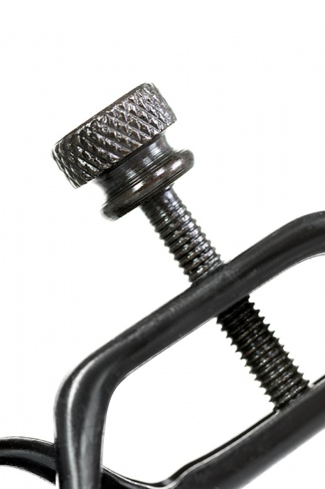 Черно-золотистые зажимы для сосков TOYFA Theatre - ToyFa - купить с доставкой в Арзамасе